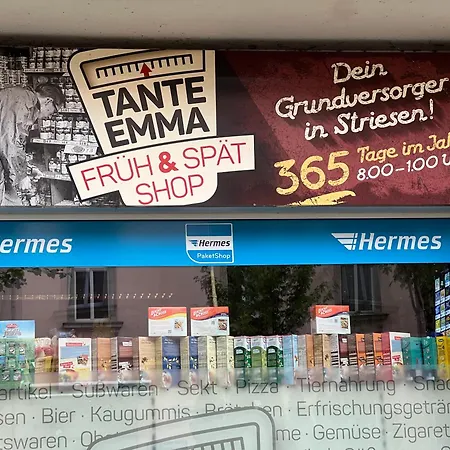 Charmantes Boho-apartment Mit Terrasse - Ruhig & Zentrumsnah Daire Dresden